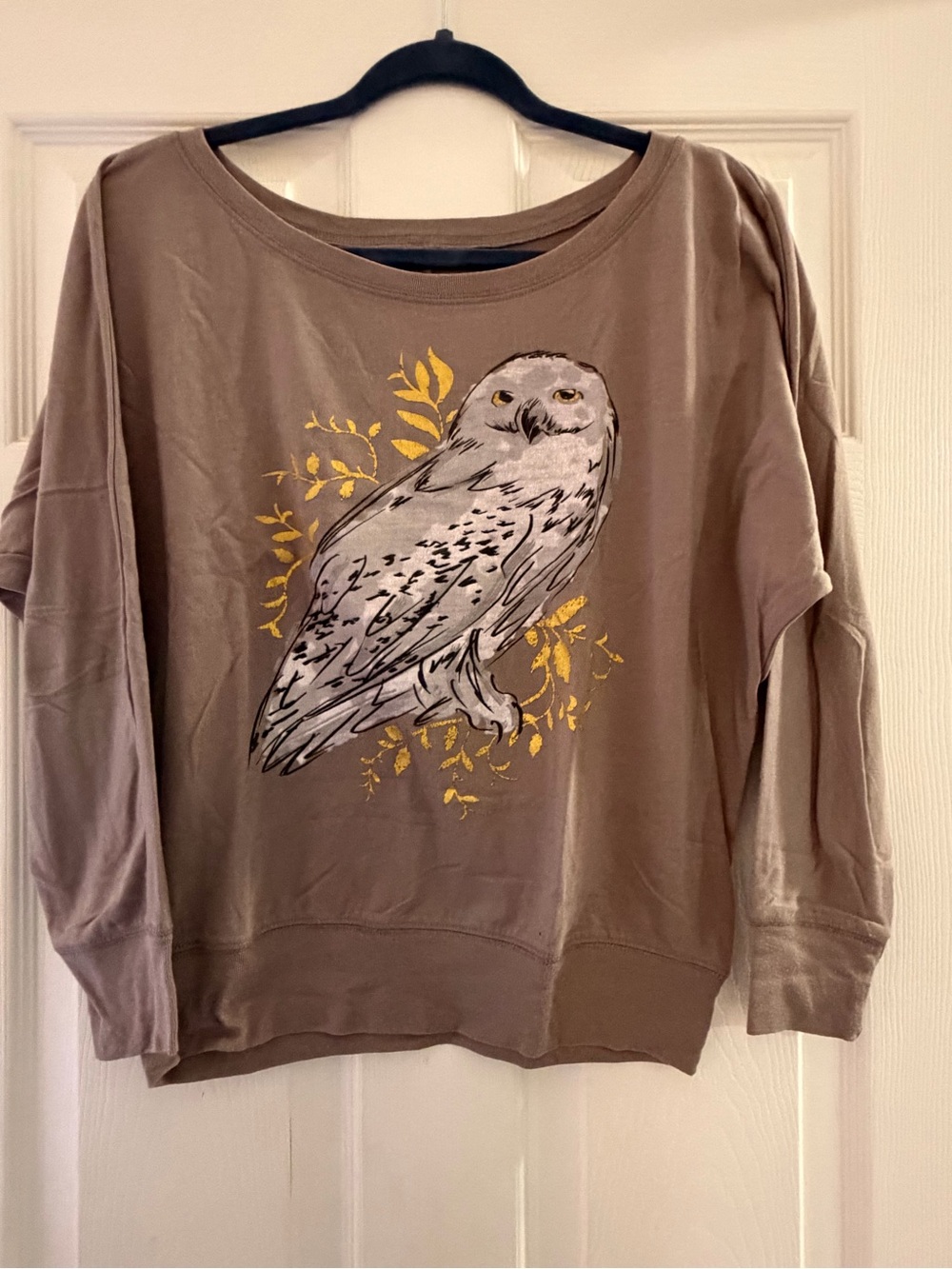 Harry Potter Women's Taupe Hedwig Graphic Pullover Top